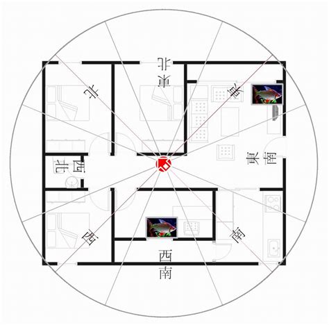 座西南朝東北風水|【座西南朝東北】坐西南朝東北的房子風水：揭露聚財。